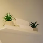 La Casa Sui Tetti 公寓 *