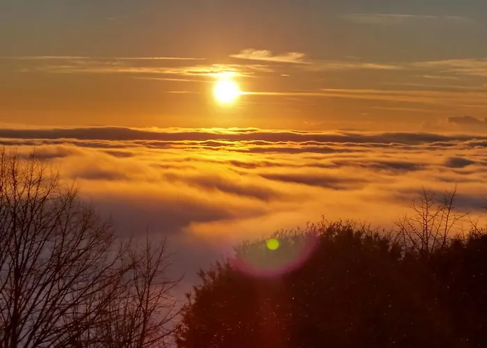 La Casa Sui Tetti 아파트 *