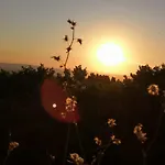 公寓 La Casa Sui Tetti *