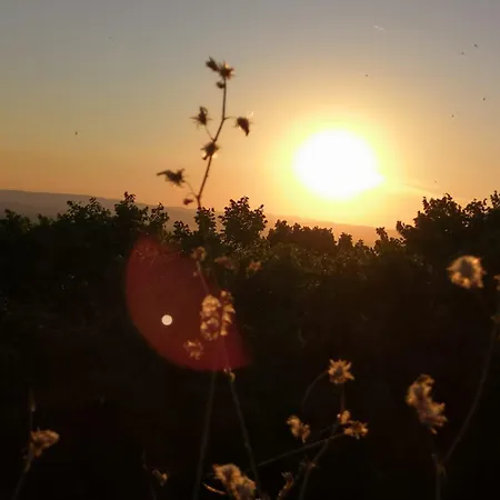 דירה La Casa Sui Tetti *