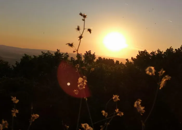 アパート La Casa Sui Tetti *